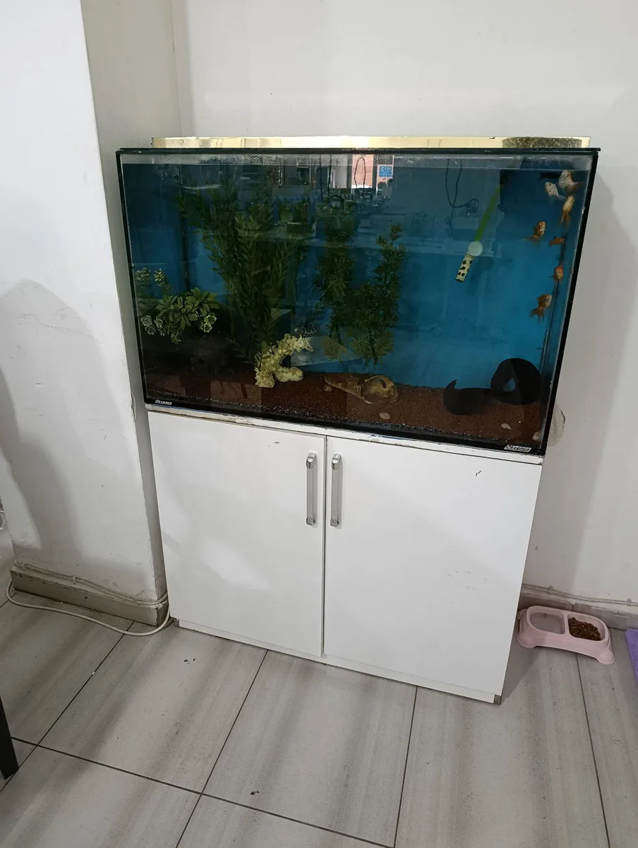 120L Akvaryum Başlangıç Seti - Filtre, Bitki ve Dekorasyon ile