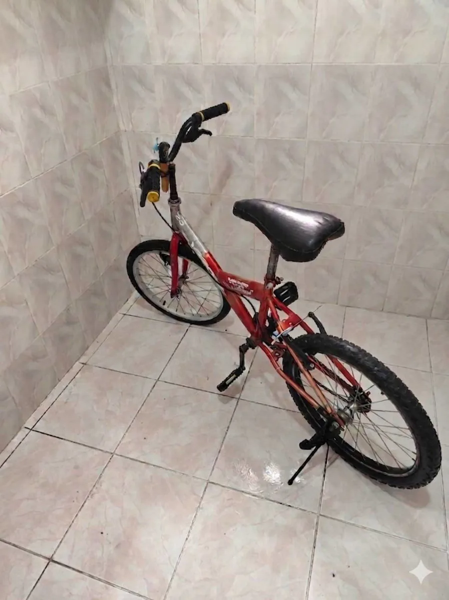 Pazarlık payı vardır Temiz 20 jant Bisiklet vitessiz