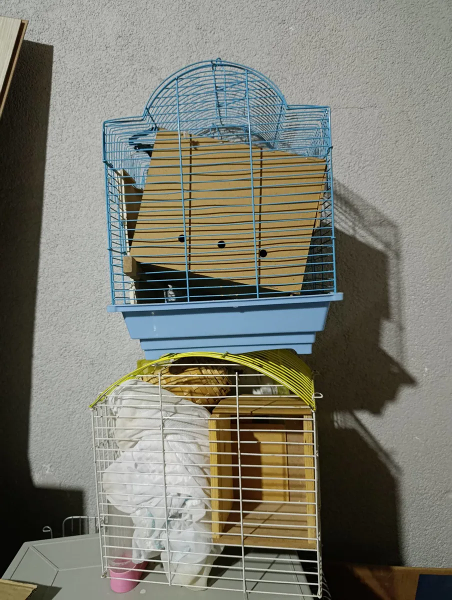 2'li Kuş Kafesi Seti - Mavi ve Beyaz Renk, Ahşap Tünekler
