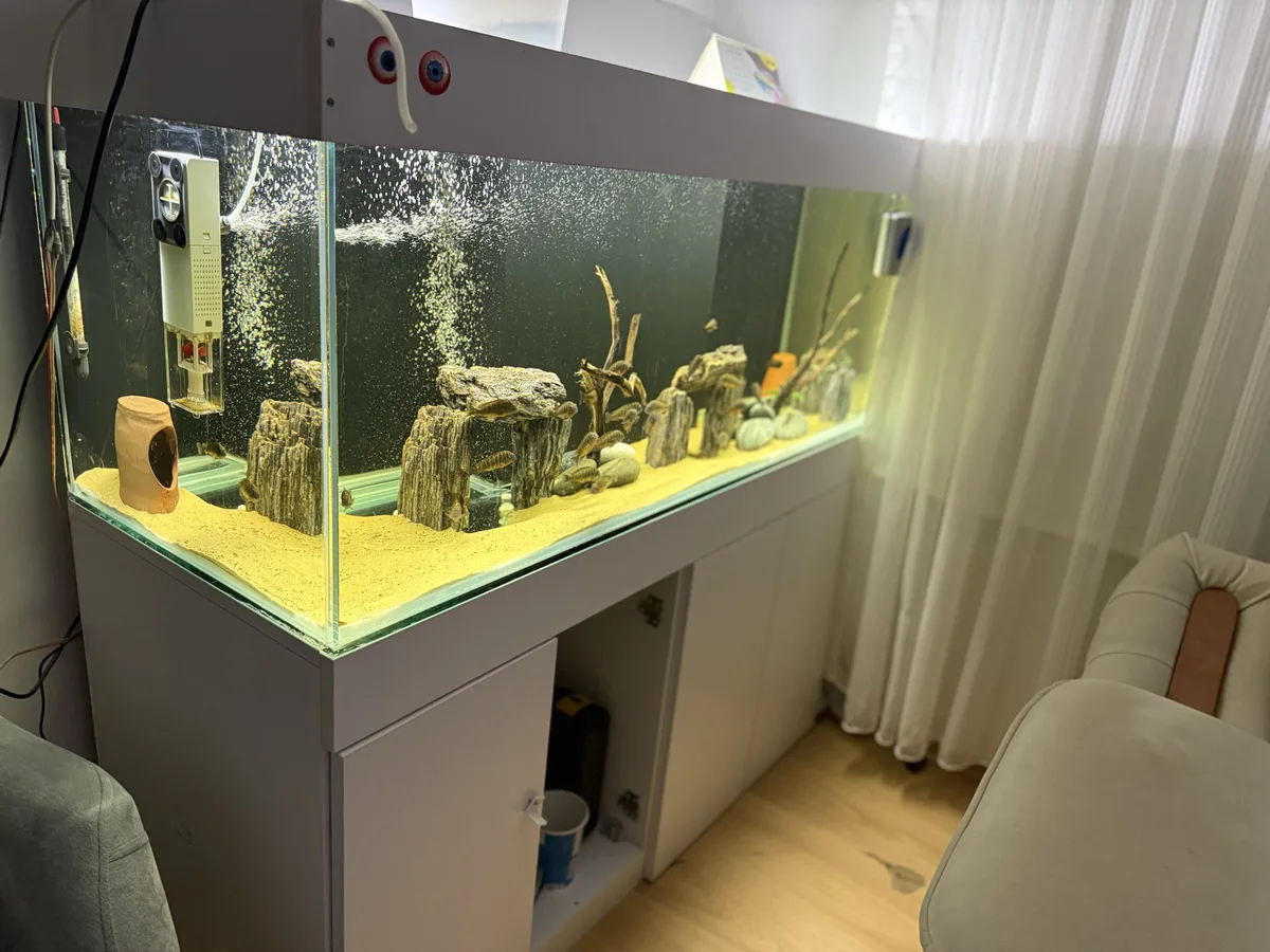 temiz çiziksiz akvaryum