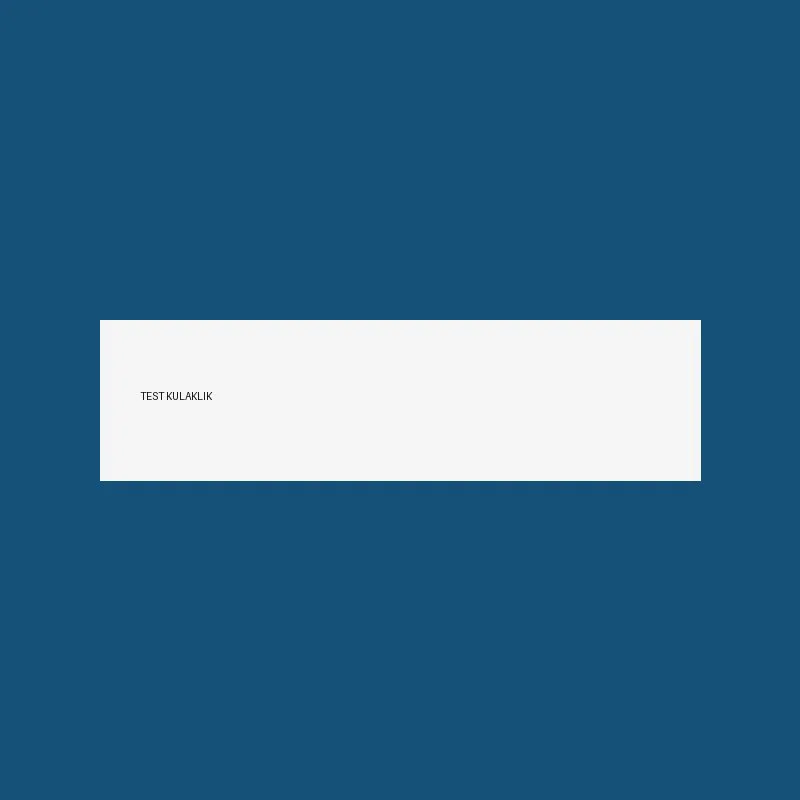 Bluetooth Kulaklik (panel test)